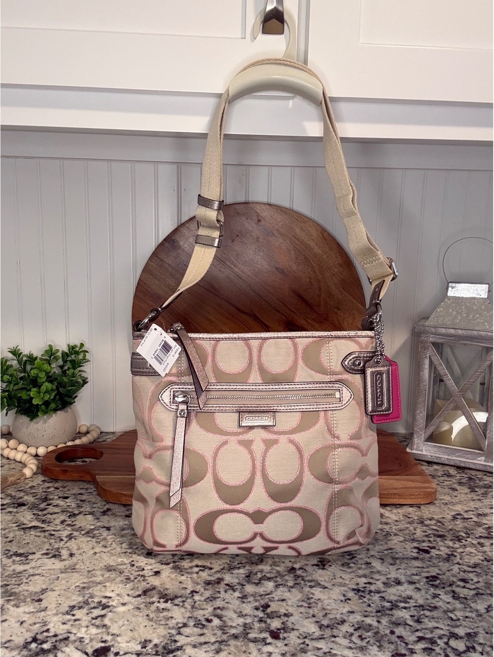 NWT Coach Daisy Outline Signature Crossbody Bag